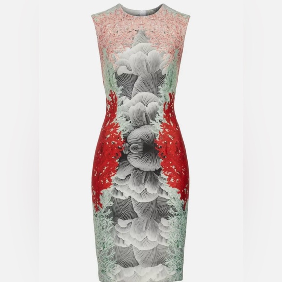 Yigal Azrouël Coral Print Scuba Sheath Dress - Picture 4 of 4